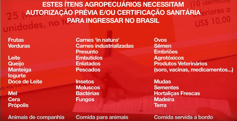 EXCURSÃO PARA COMPRAS NO PARAGUAI,COM - Compras no Paraguai